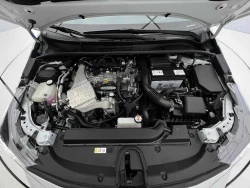 Toyota Levin 19