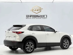 Mazda CX-3 2