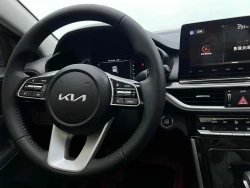 Kia K3 9