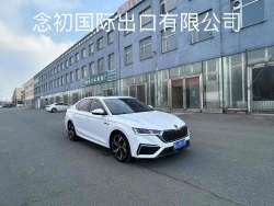 Skoda Octavia 8