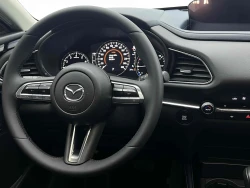Mazda CX-3 5