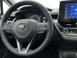 Toyota Levin 10