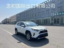 Toyota RAV4 10